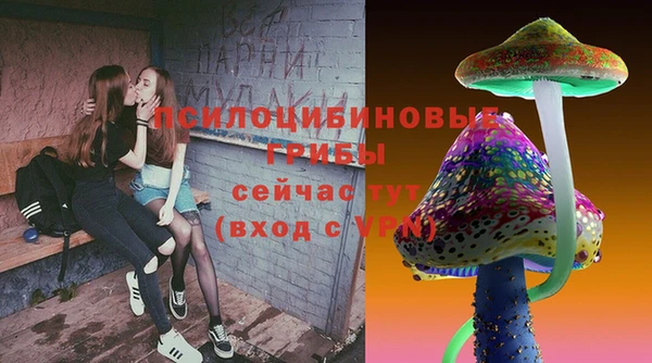хмурый Абинск