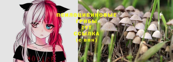 хмурый Абинск